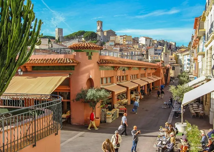 Ideal Congress And Vacation Live In Villa Parador