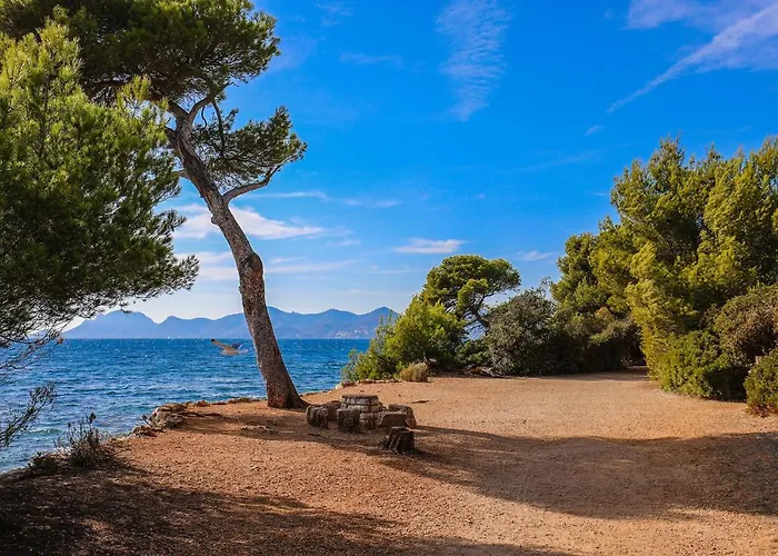 Ideal Congress And Vacation Live In Villa Parador